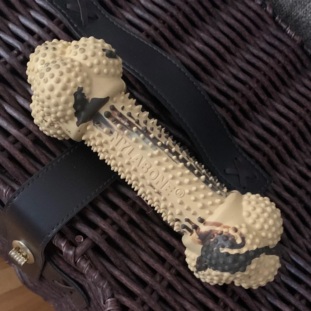 Nylabone Dog Toy size lg